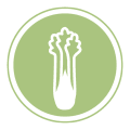 RestauraPro legacy
